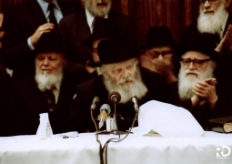 י"א ניסן תש"מ | גלריה